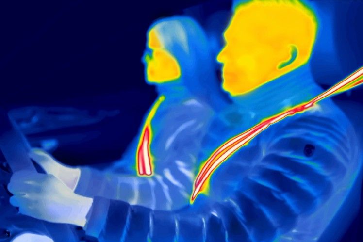 Thermal image of a person wearing a seatbelt