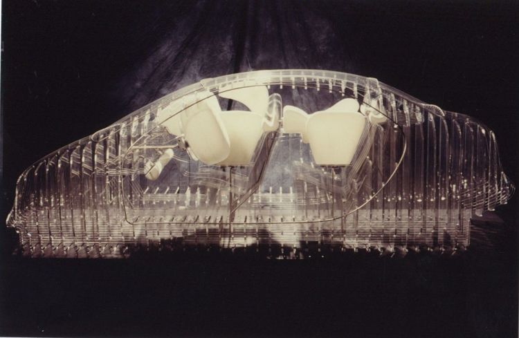 Car airbag system with deployed airbags