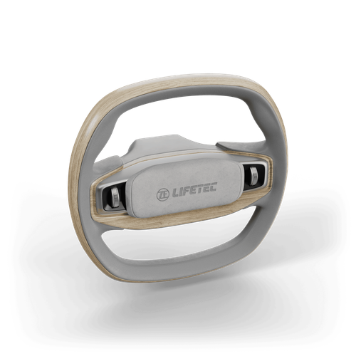 Lenkrad mit integriertem ZF-Display
